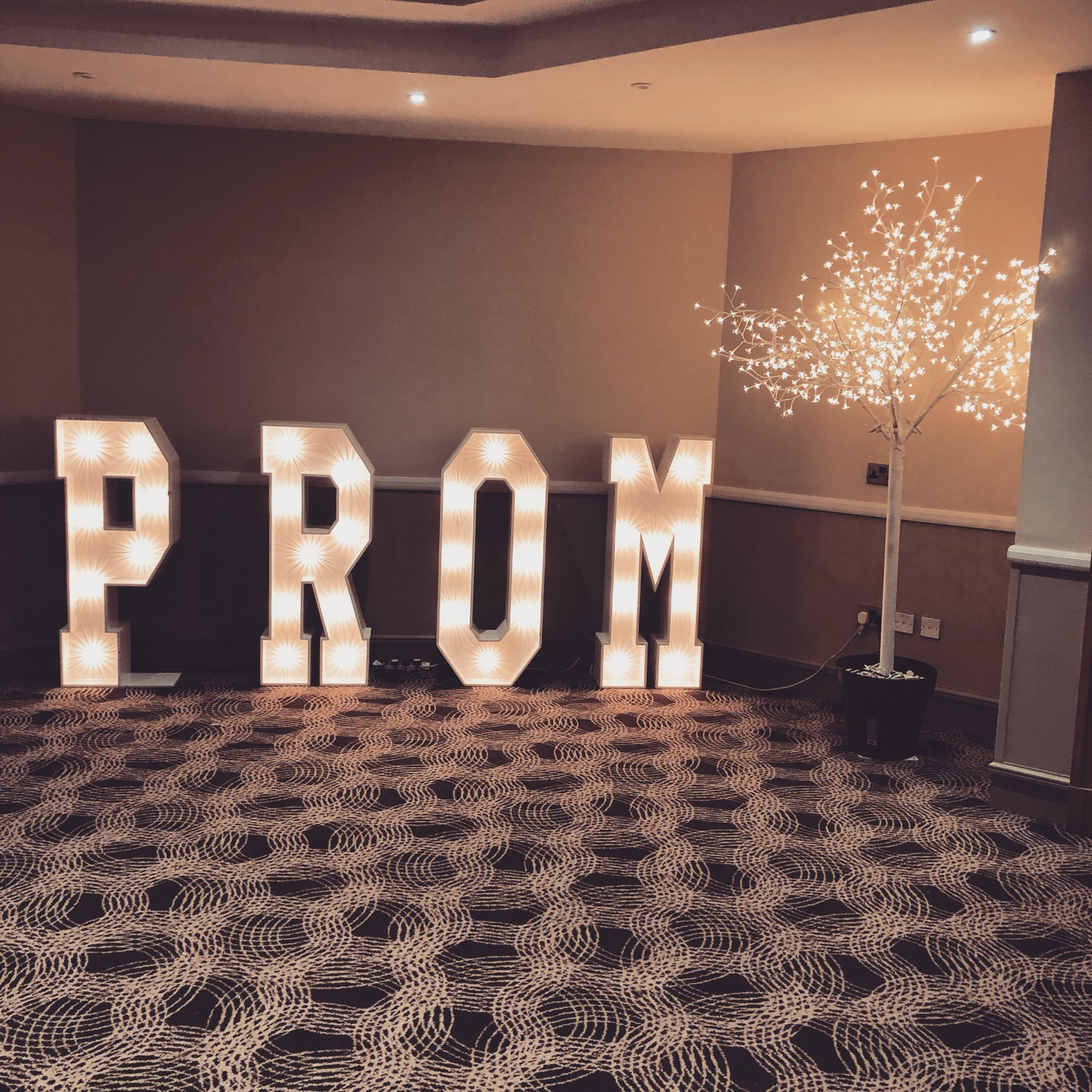 Large prom light up letters and blossom tree